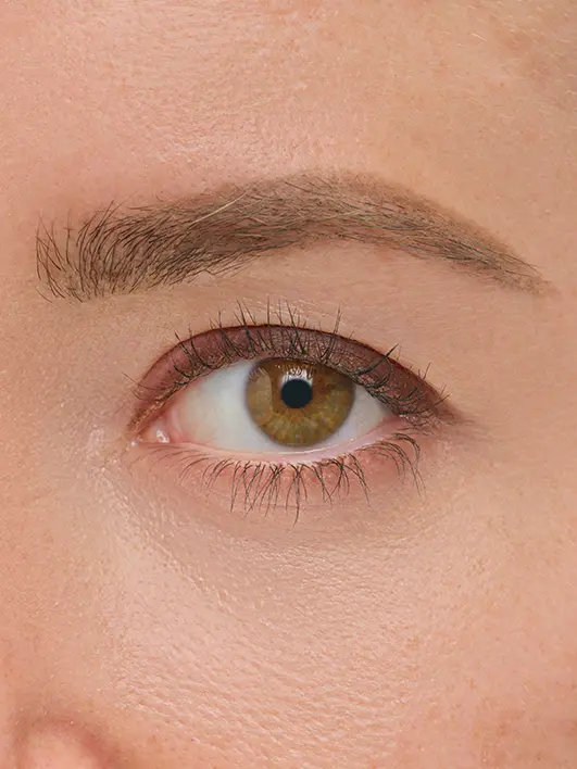 LINE ARTIST: THE NEUTRALS - Image 3